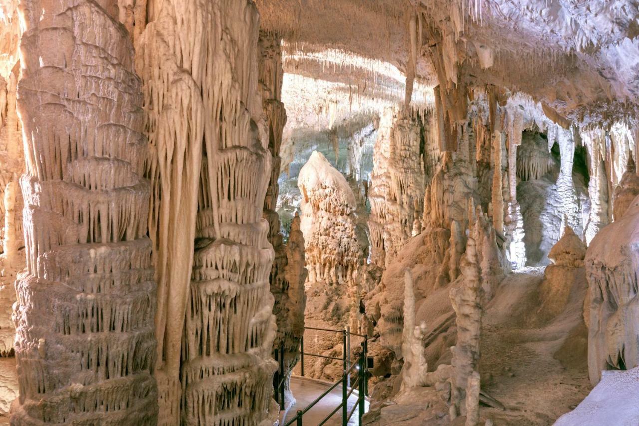 Cave Jama Postojna